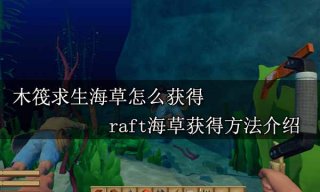 木筏求生海草怎么获得 raft海草获得方法介绍