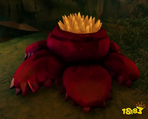 深岩银河藤络树洞有什么特色植物 藤络树洞特色分享