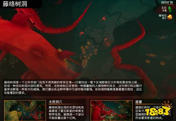 深岩银河藤络树洞有什么特色植物 藤络树洞特色分享