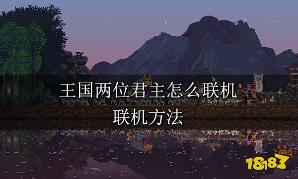 王国两位君主怎么联机 联机方法
