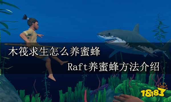 木筏求生怎么养蜜蜂 Raft养蜜蜂方法介绍