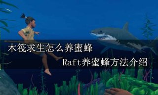 木筏求生怎么养蜜蜂 Raft养蜜蜂方法介绍