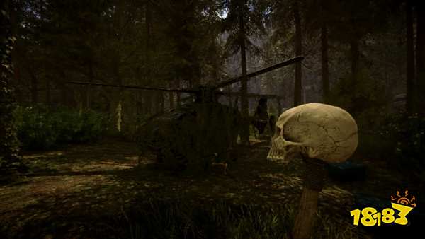 森林之子英文全称是什么 森林之子英文全称