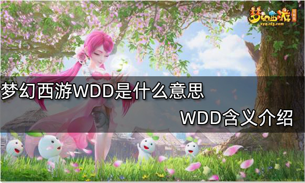 梦幻西游WDD是什么意思 WDD含义介绍