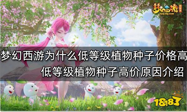 梦幻西游为什么低等级植物种子价格高 低等级植物种子高价原因介绍