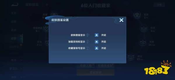 王者荣耀收藏家称号怎么隐藏 收藏家称号隐藏方法分享