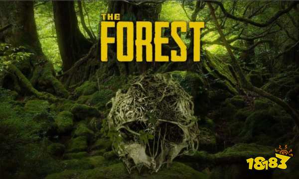 森林登山镐在哪 登山镐位置攻略