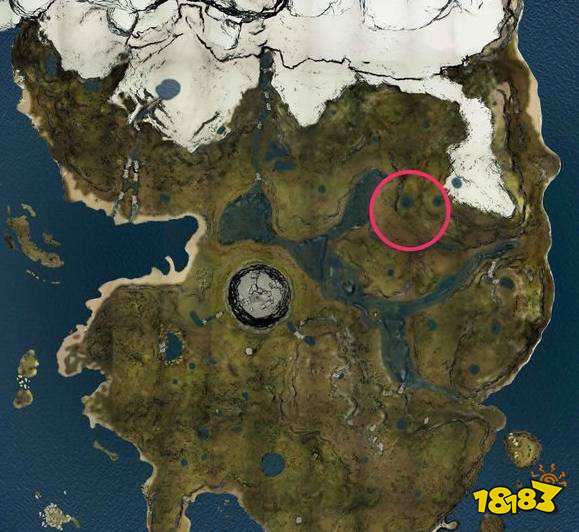 森林浣熊在哪 浣熊获得攻略