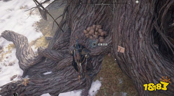 刺客信条英灵殿约克宝箱钥匙在哪 约克财富宝箱位置介绍