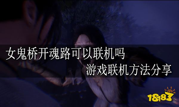 女鬼桥开魂路可以联机吗 游戏联机方法分享