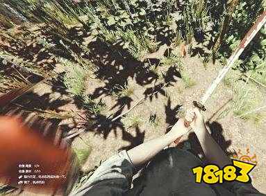 森林羽毛怎么获得 羽毛获得方法