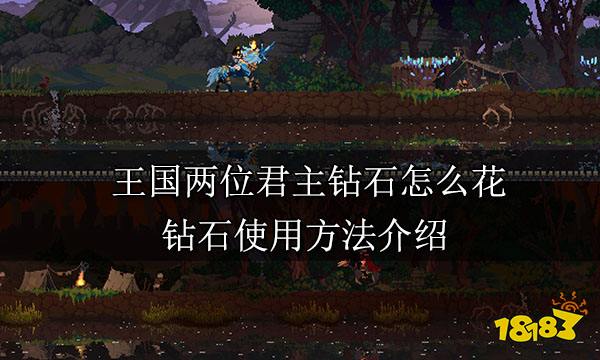 王国两位君主钻石怎么花 钻石使用方法介绍