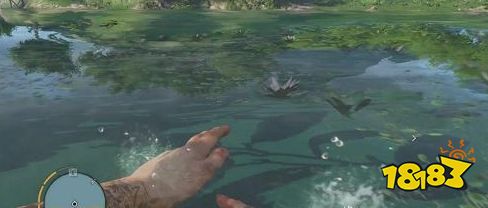 森林鲨鱼皮怎么做 鲨鱼皮制作方法