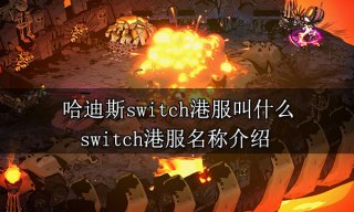 哈迪斯switch港服叫什么 switch港服名称介绍