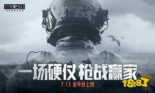 暗區突圍九游版