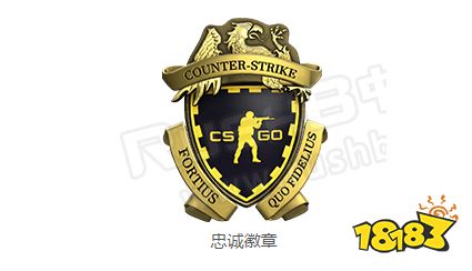 csgo忠诚徽章如何获得 忠诚徽章获得方法