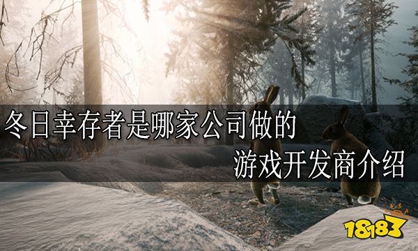 冬日幸存者是哪家公司做的 游戏开发商介绍