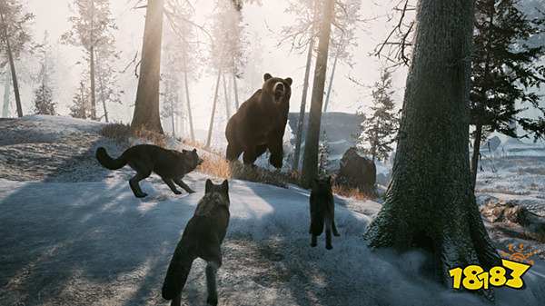 冬日幸存者是哪家公司做的 游戏开发商介绍