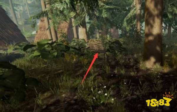 森林兔子陷阱怎么抓兔子 兔子捕捉方法