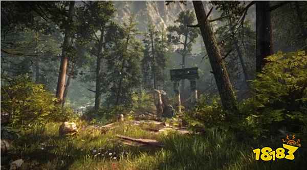 森林没有状态显示了怎么办 状态显示方法