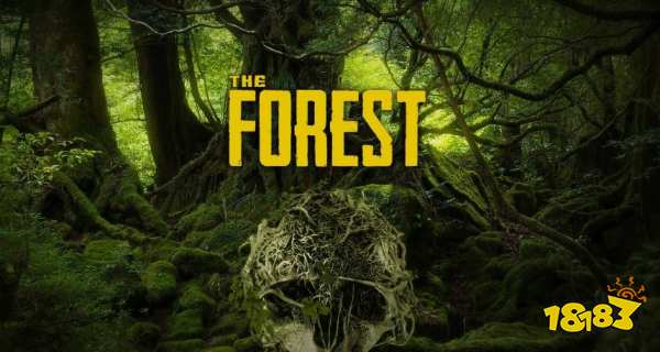 森林没有状态显示了怎么办 状态显示方法