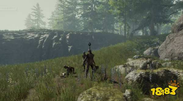 森林没有状态显示了怎么办 状态显示方法