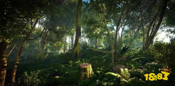 森林没有状态显示了怎么办 状态显示方法