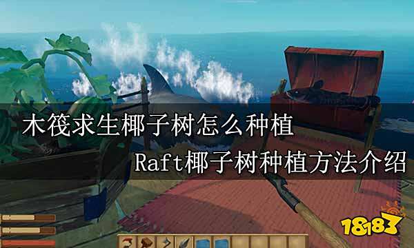 木筏求生椰子树怎么种植 Raft椰子树种植方法介绍