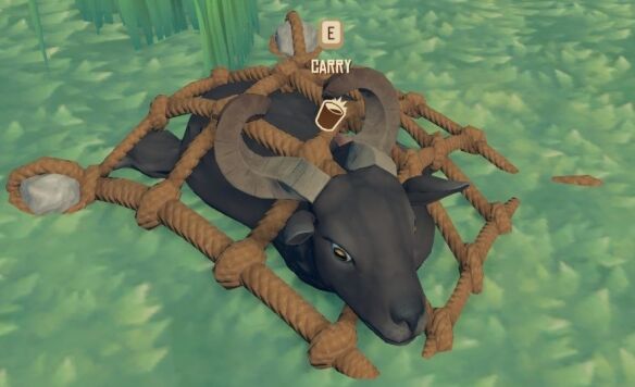 木筏求生怎么养动物 Raft动物饲养方法