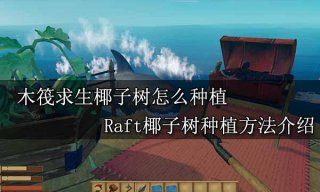 木筏求生椰子树怎么种植 Raft椰子树种植方法介绍