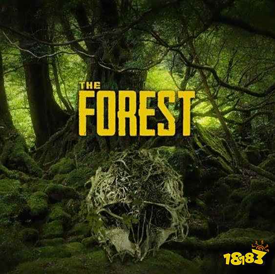 森林芦荟在哪 芦荟位置