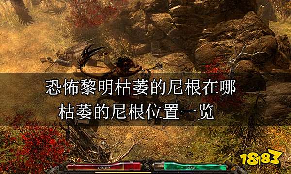 恐怖黎明枯萎的尼根在哪 枯萎的尼根位置一览