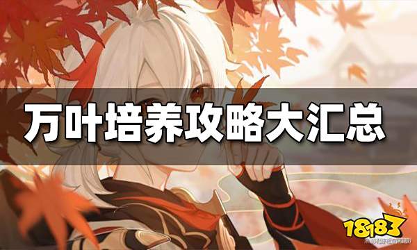 原神万叶培养攻略大汇总 万叶培养攻略合集