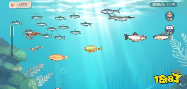 奥比岛梦想国度鱼类怎么加工 鱼类加工攻略