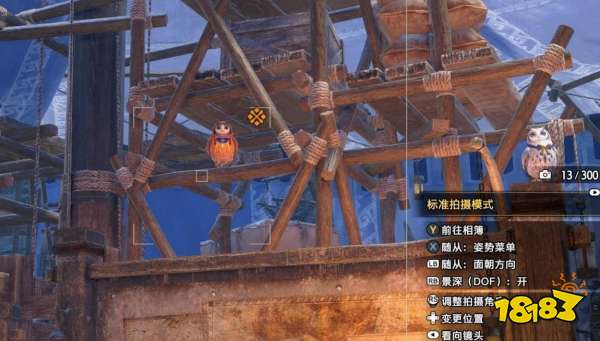 怪物獵人崛起曙光福木兔支線任務(wù) 福木兔支線任務(wù)攻略