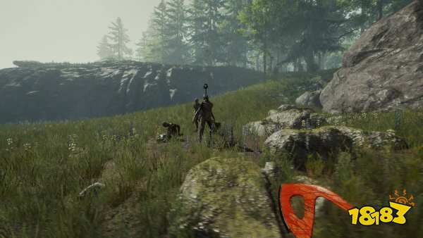 森林大头棒怎么强化 大头棒强化方法