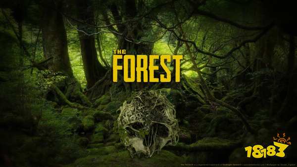 森林最强护甲是什么 最强护甲制作方法