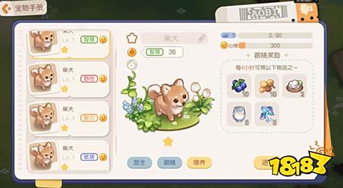 奥比岛梦想国度宠物有哪些 最新宠物图鉴大全