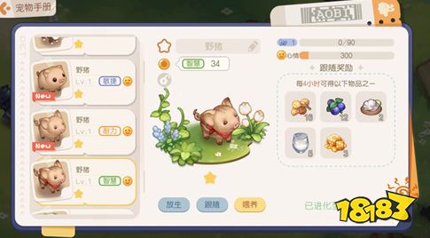 奥比岛梦想国度宠物有哪些 最新宠物图鉴大全