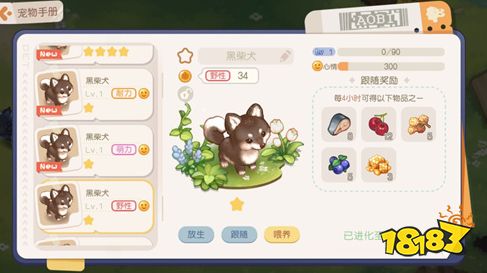 奥比岛梦想国度宠物有哪些 最新宠物图鉴大全