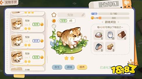 奥比岛梦想国度宠物有哪些 最新宠物图鉴大全