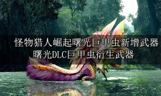 怪物猎人崛起曙光巨甲虫新增武器 曙光DLC巨甲虫衍生武器