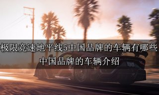 极限竞速地平线5中国品牌的车辆有哪些 中国品牌的车辆介绍