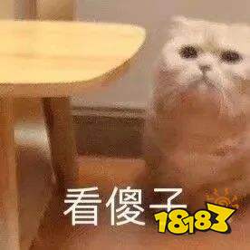 “你这么帅一个人,怎么会去玩单机游戏呢?”