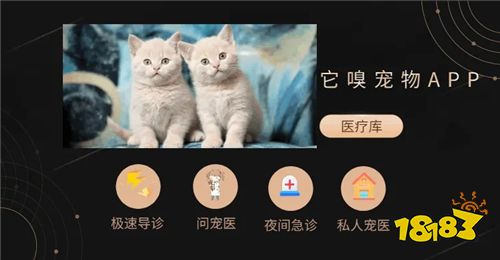 它嗅宠物问诊APP