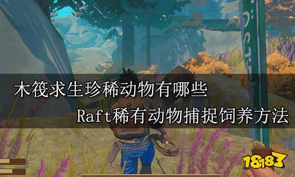 木筏求生珍稀动物有哪些 Raft稀有动物捕捉饲养方法