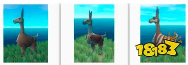 木筏求生珍稀動物有哪些 Raft稀有動物捕捉飼養方法