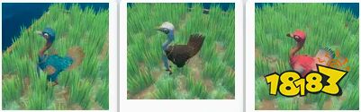 木筏求生珍稀動物有哪些 Raft稀有動物捕捉飼養方法