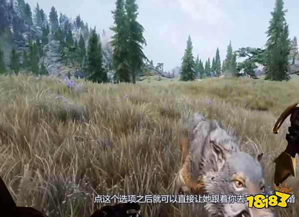 上古卷轴5怎么结婚 结婚方法介绍