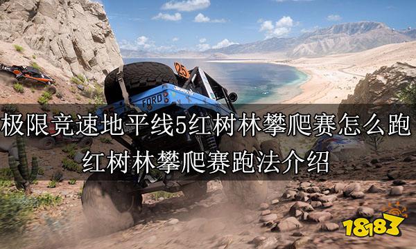 极限竞速地平线5红树林攀爬赛怎么跑 红树林攀爬赛跑法介绍